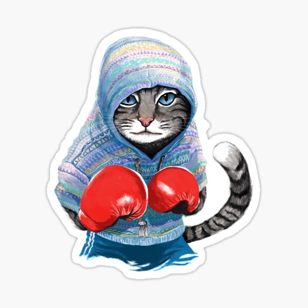 Kitty sales boxing gloves