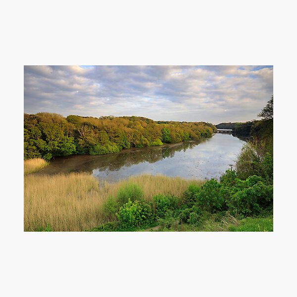 "Towards Eight Arch Bridge (Stackpole)" Photographic Print for Sale by ...