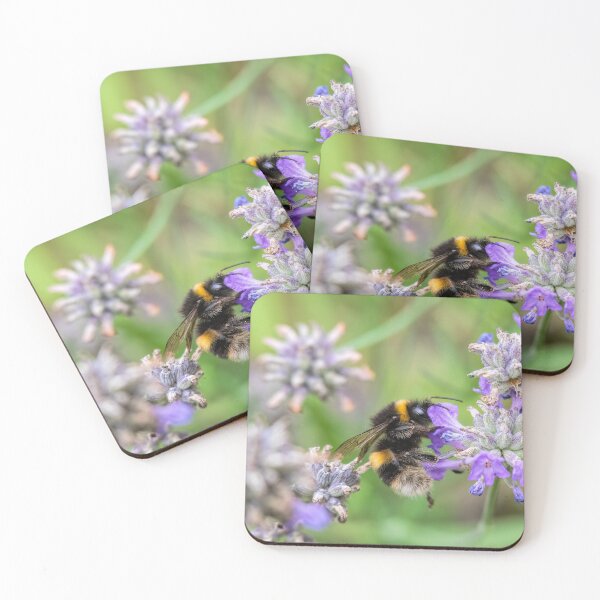 Item preview, Buff-tailed Bumble bee designed and sold by Phil Hemsley.