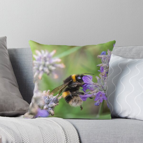 Item preview, Buff-tailed Bumble bee designed and sold by Phil Hemsley.