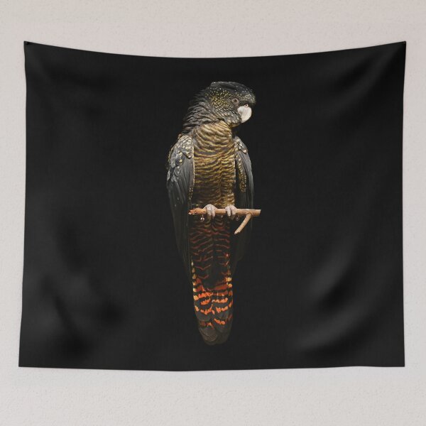 Item preview, Red-tailed Black Cockatoo 2   designed and sold by AlvenaBartol.