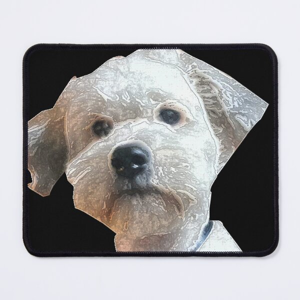 Item preview, Little dog with black bow in draw designed and sold by Memories-in-Pet.