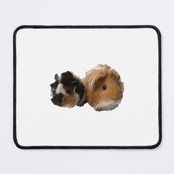 Item preview, Pepper and Eevee  designed and sold by mattheurbonifac.