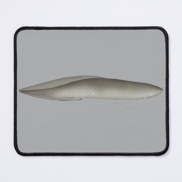 Item preview, Marbled Lungfish designed and sold by fishfolkart.