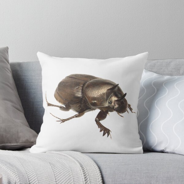 Artikelvorschau, Mistkäfer - Onthophagus sagittarius Weibchen entworfen und verkauft von EricaNad.