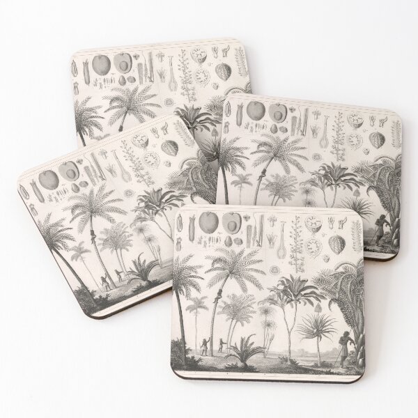 Item preview, Vintage Tropical Trees & Vegetation Illustrative Diagram (1850) designed and sold by BravuraMedia.
