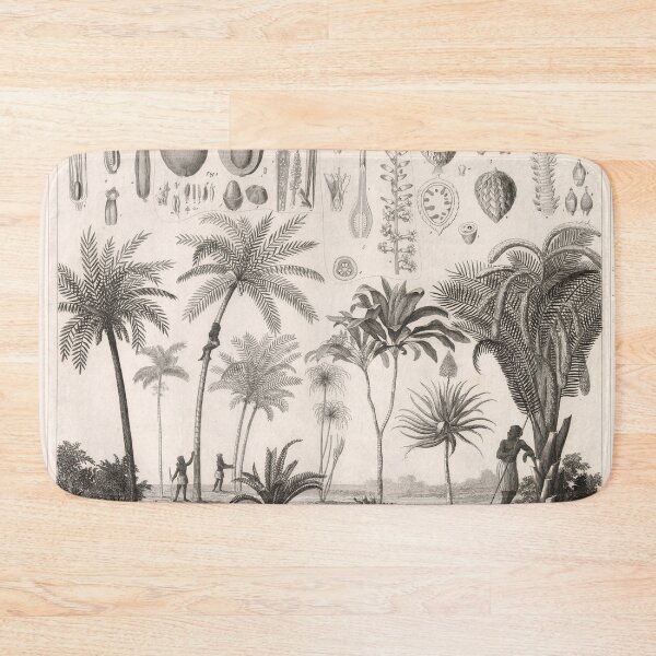 Item preview, Vintage Tropical Trees & Vegetation Illustrative Diagram (1850) designed and sold by BravuraMedia.