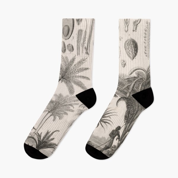 Item preview, Vintage Tropical Trees & Vegetation Illustrative Diagram (1850) designed and sold by BravuraMedia.