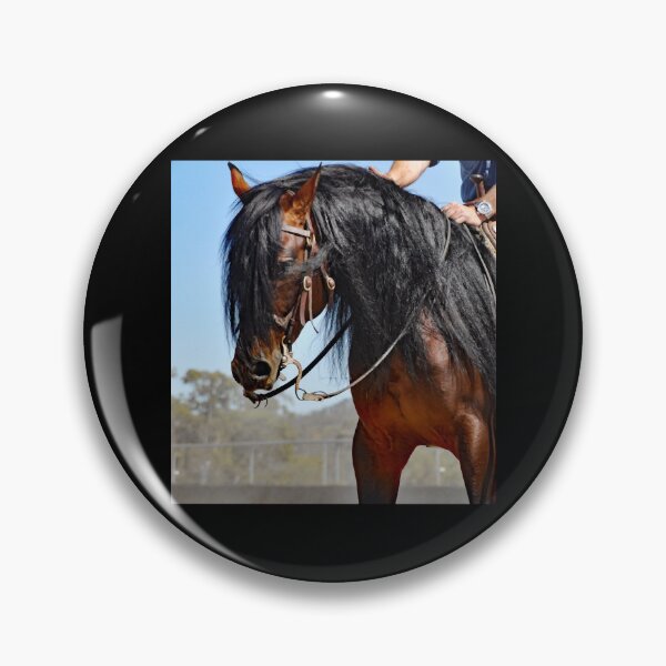 Item preview, Western Reining Horse designed and sold by reed-carlsen.