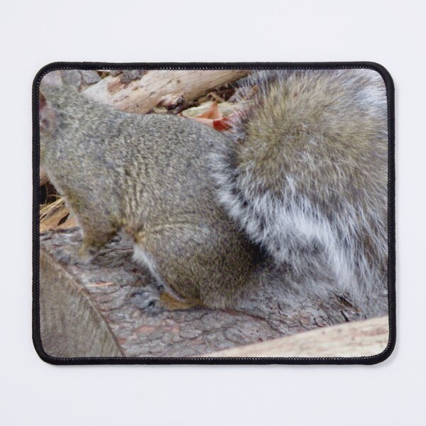 Item preview, Squirrel designed and sold by Shulie1.