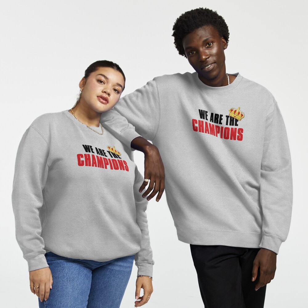 We are hot sale the champion jumper