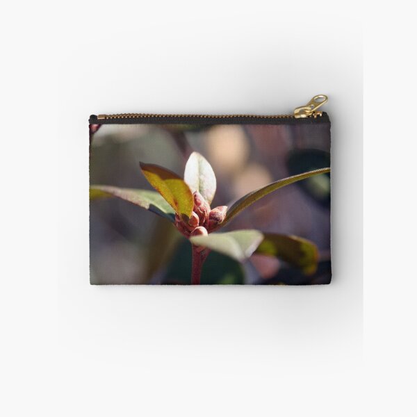 Item preview, Signs of Spring - 4 designed and sold by WalnutHill.