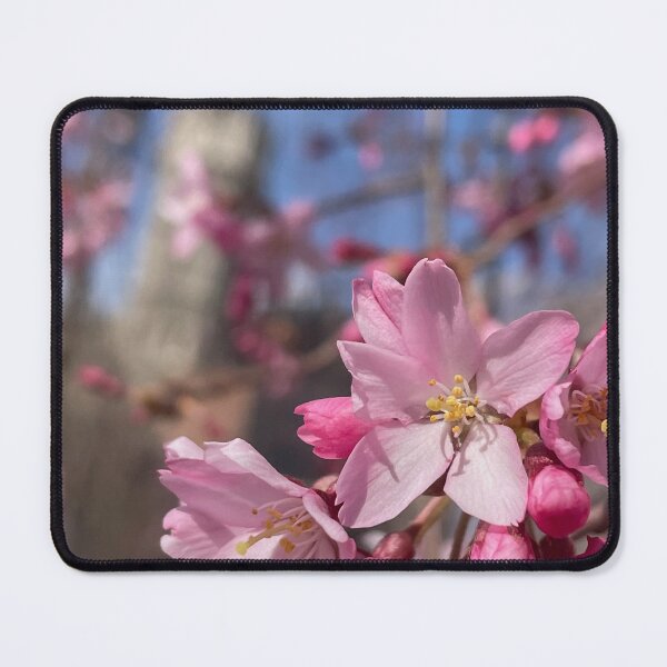 Item preview, Bryn Mawr Spring designed and sold by Pisces-Pics.