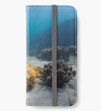 Wobbegong, Tangalooma Wrecks iPhone Wallet/Case/Skin