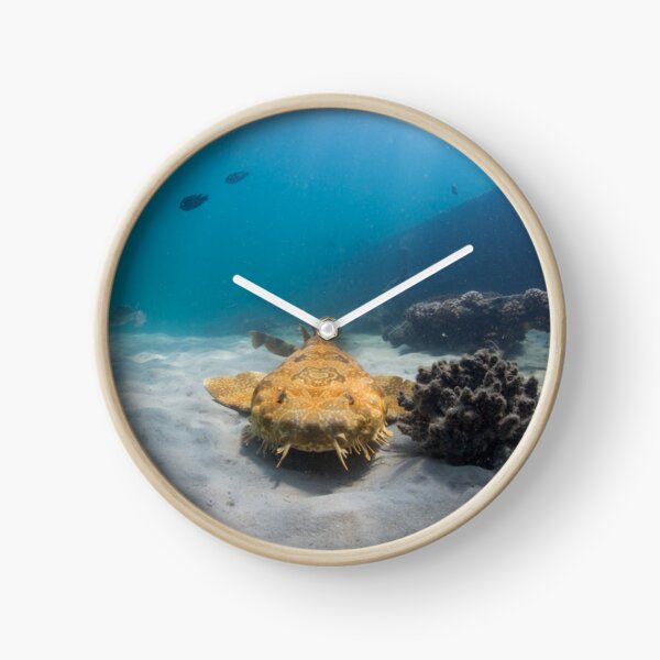 Wobbegong, Tangalooma Wrecks Clock