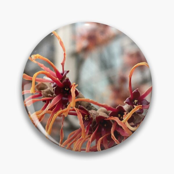 Item preview, Witch Hazel by the KINSC designed and sold by Pisces-Pics.