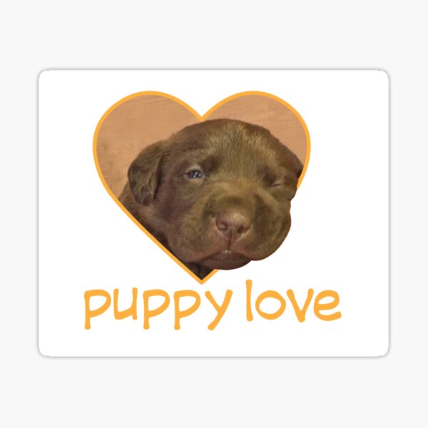 Puppy Love is the Best! Sticker