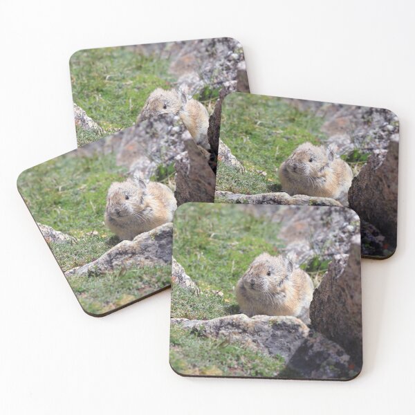 Item preview, Pika at its den designed and sold by zumi.