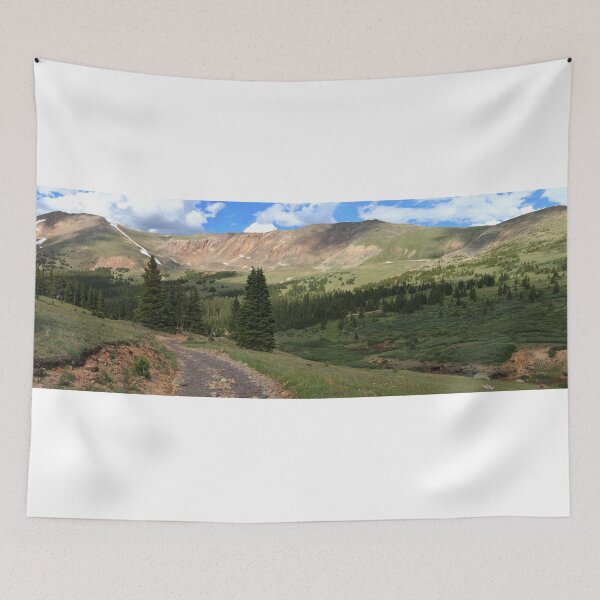 Item preview, Panoramic Webster pass area designed and sold by zumi.