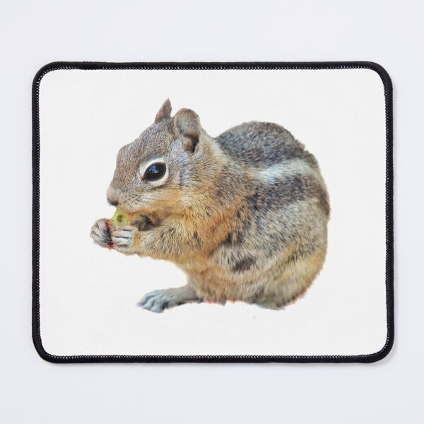 Artikelvorschau, Chipmunk entworfen und verkauft von Backyardtrail.