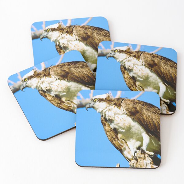 Item preview, Taking a Closer Look designed and sold by Michiale.