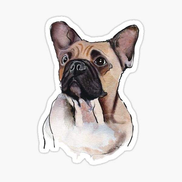 Adorable Pug Looking up Sticker