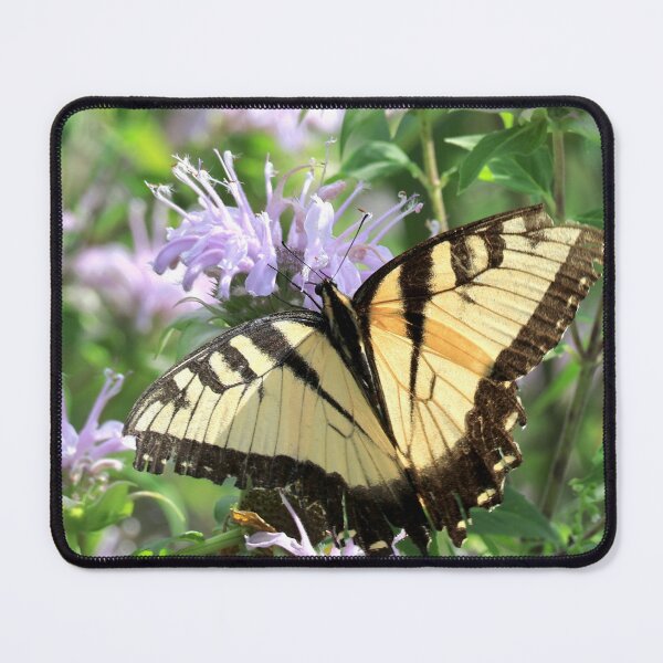 Item preview, Eastern Tiger Swallowtail designed and sold by Carol Bock.