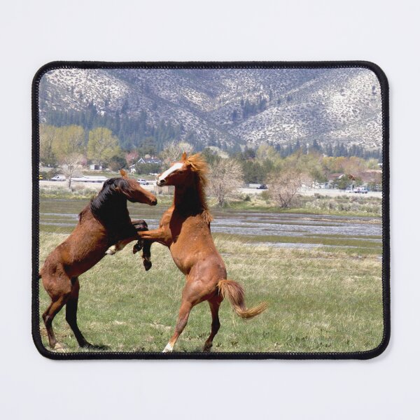 Item preview, Wild Stallions designed and sold by Carol Bock.