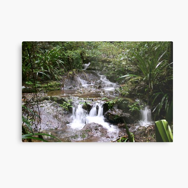 Item preview, Waterfall Lamington NP designed and sold by smallan.