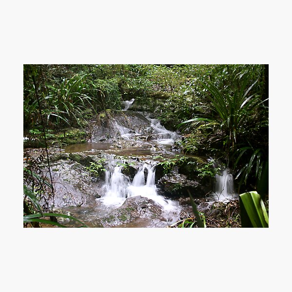 Item preview, Waterfall Lamington NP designed and sold by smallan.
