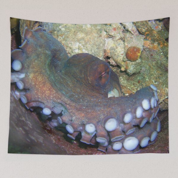 Item preview, Tentacles tasting! designed and sold by NICK COBURN PHILLIPS.