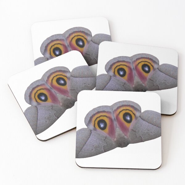 Item preview, Automeris iris; Iris eyed silkmoth designed and sold by Entomologist.