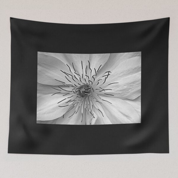 Item preview, Clematis White designed and sold by Debbie Oppermann.