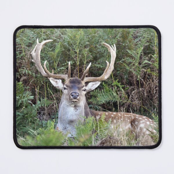 Item preview, Oh deer..... designed and sold by Printmaster555.