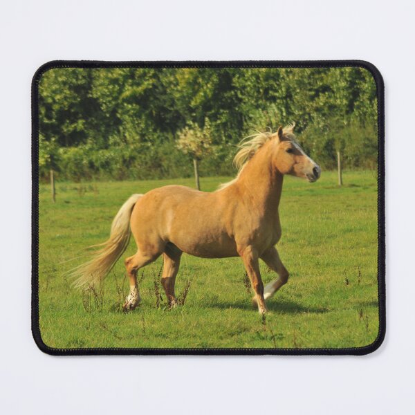 Item preview, Horse in field designed and sold by Printmaster555.
