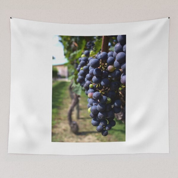Item preview, Grapes in the Vineyard designed and sold by Amanda Vontobel Photography/Random Fandom Stuff.