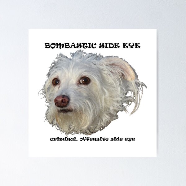 Item preview, Bombastic Side Eye Dog designed and sold by astarrett.