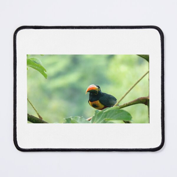 Item preview, Cheerful Bird Amidst Lush Greenery - Nature's Delight designed and sold by hjian8219.