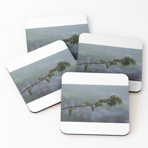 Item preview, Serenade of Nature: Rain Falling on Leaves with Cool Breeze and Starfall in AI Music designed and sold by hjian8219.