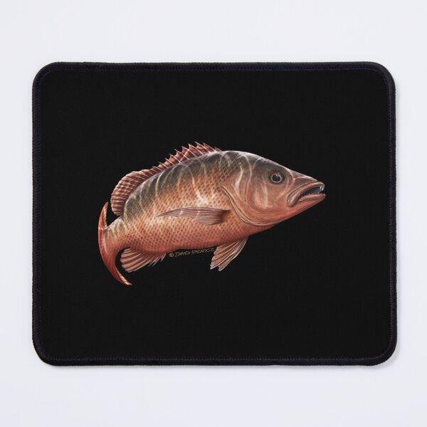 Item preview, Mangrove Jack  designed and sold by FeliWehn.