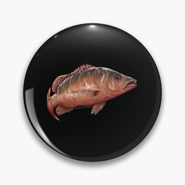 Item preview, Mangrove Jack  designed and sold by FeliWehn.