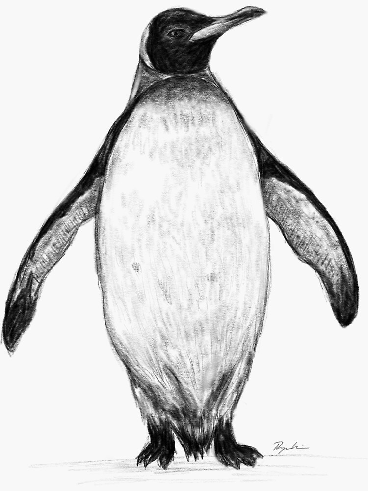 Penguin  Dibujos a lapiz faciles, Boceto de dibujo, Dibujos