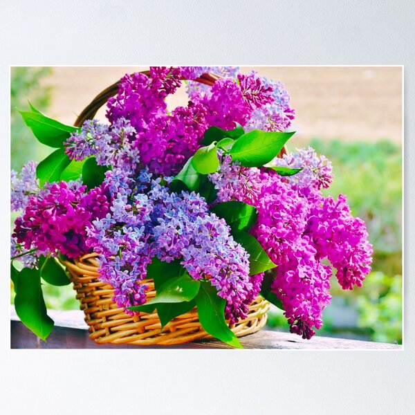 Item preview, Basket of Lilacs designed and sold by TeesNthese.