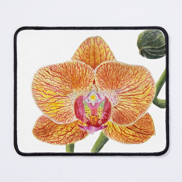Item preview, Yellow Phalaenopsis Orchid Painting designed and sold by BirdsNatureArt.