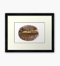 Coffee Bean Framed Print
