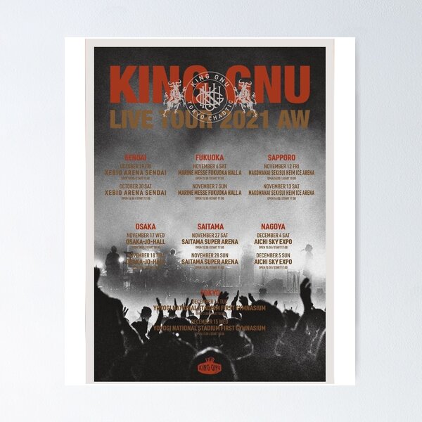 メーカー直送】 Amazon.co.jp: King POSTER ANNIVERSARY Dome