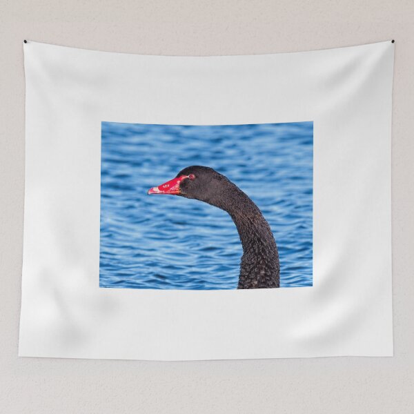 Item preview, Black Swan Head designed and sold by StevenRalserPhoto.