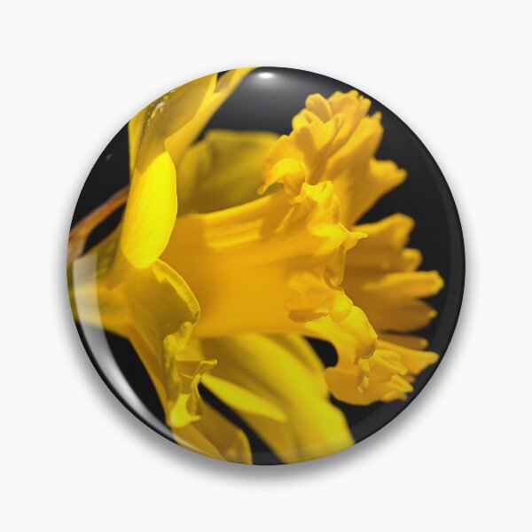 Item preview, Yellow Daffodil Flower designed and sold by Joy Watson - Natural Light Photography .