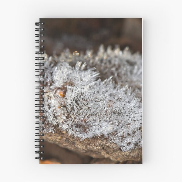 Artikelvorschau, Eingefrorene Makros (4) entworfen und verkauft von Wolf Sverak Photography.