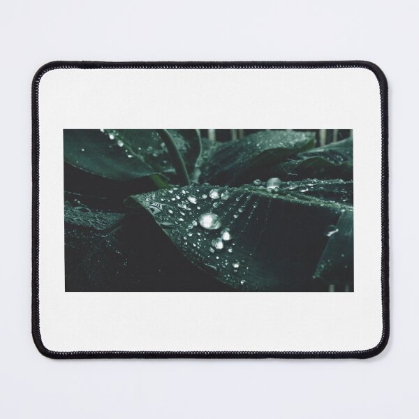 Item preview, Serene Raindrops: Relaxing Music with Water Droplets on Leaves designed and sold by hjian8219.